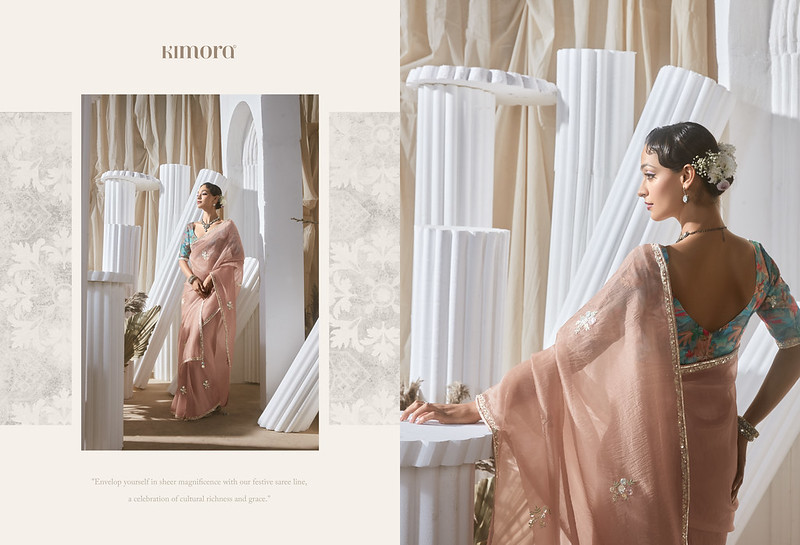 Rangat Fancy Fabric With Designer Lace Work All Over Saree